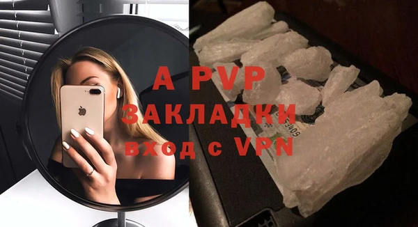 ГАЛЛЮЦИНОГЕННЫЕ ГРИБЫ Абаза