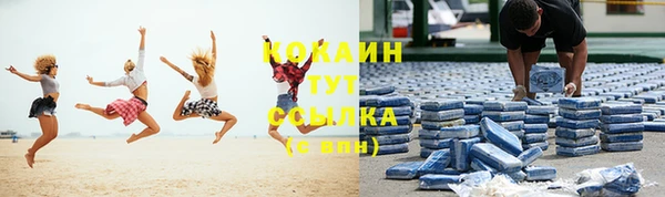 ГАЛЛЮЦИНОГЕННЫЕ ГРИБЫ Абаза