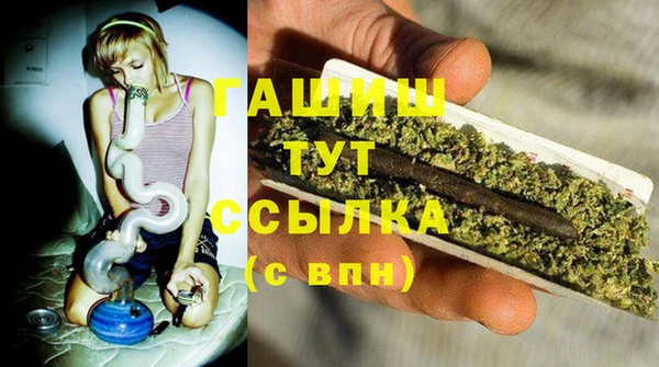 ГАЛЛЮЦИНОГЕННЫЕ ГРИБЫ Абаза