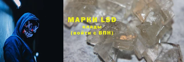 ГАЛЛЮЦИНОГЕННЫЕ ГРИБЫ Абаза