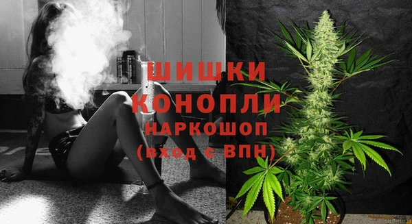 ГАЛЛЮЦИНОГЕННЫЕ ГРИБЫ Абаза