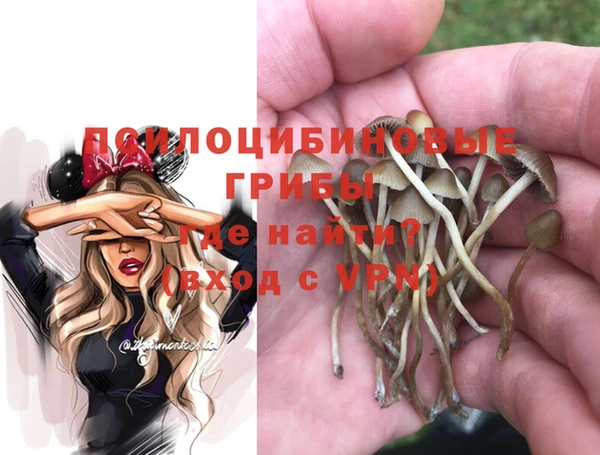 ГАЛЛЮЦИНОГЕННЫЕ ГРИБЫ Абаза