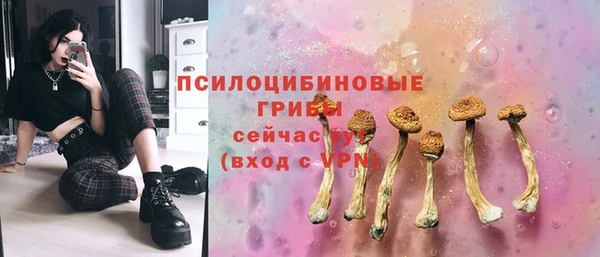 ГАЛЛЮЦИНОГЕННЫЕ ГРИБЫ Абаза