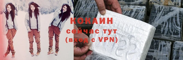 ГАЛЛЮЦИНОГЕННЫЕ ГРИБЫ Абаза